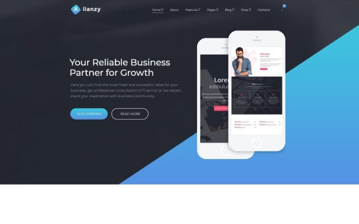 Alianzy - İş Ortaklığı WordPress Elementor Teması