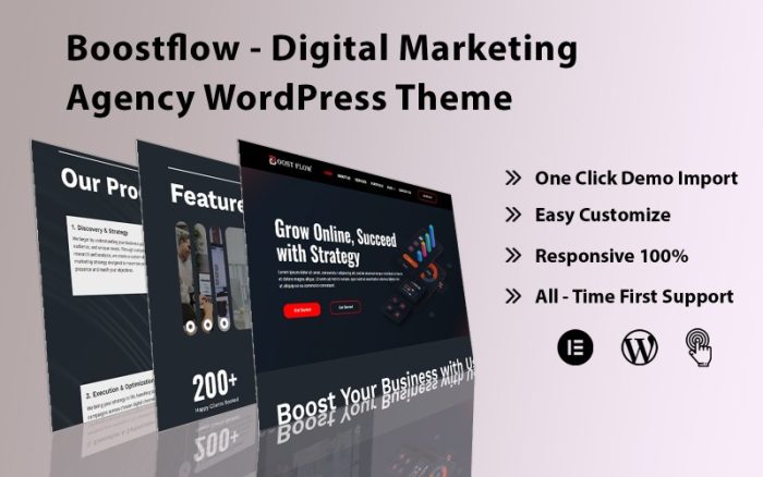 Boostflow - Dijital Pazarlama Ajansı WordPress Teması