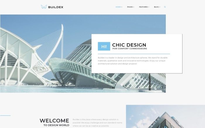 Buildex - Mobil Uyumlu Çok Sayfalı Mimari Ajansı WordPress Teması