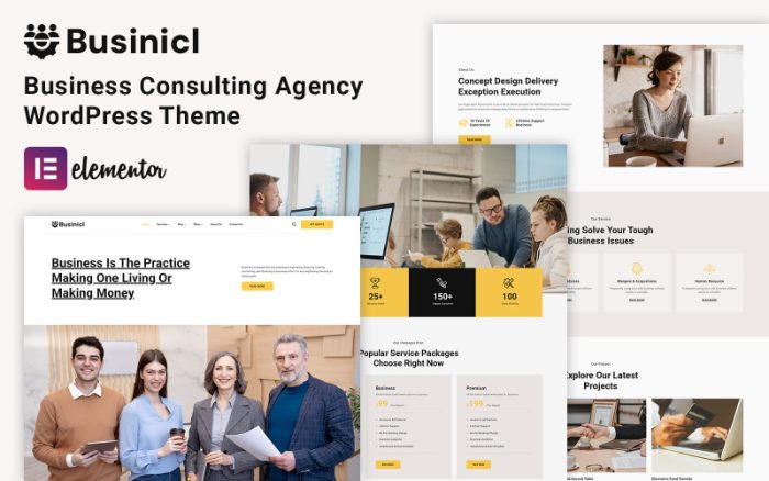 Businicl - İş Danışmanlığı WordPress Teması