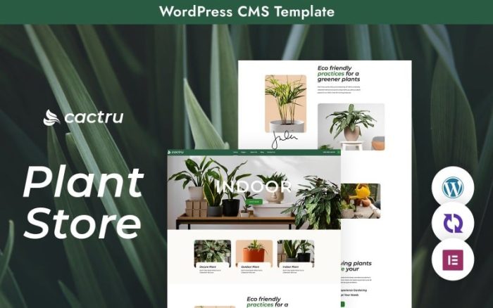 "Cactrus" WordPress Teması - Benzersiz Bir Plant Studio Deneyimi