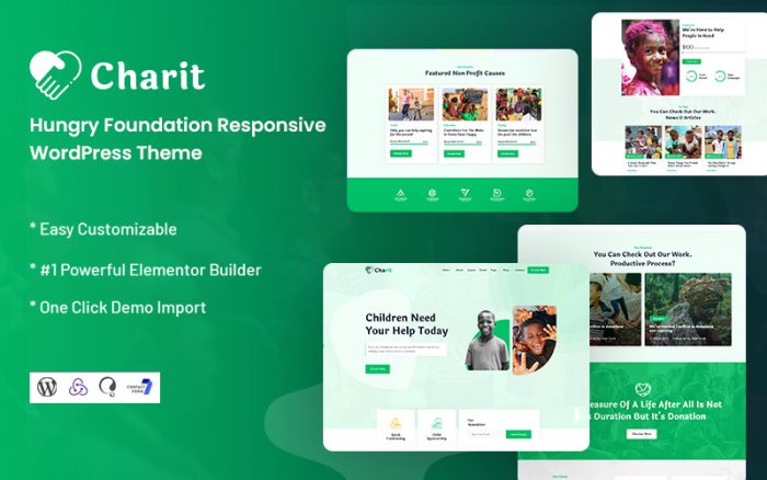 Charit - Mobil Uyumlu Hungry Foundation WordPress Teması