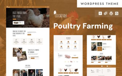 CluckFarm - Organik Yumurta ve Kümes Hayvancılığı WooCommerce Teması