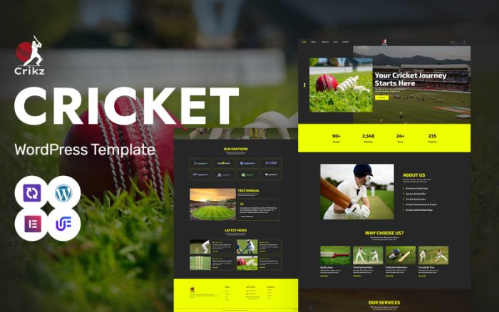 Crikz - Kriket Akademisi ve Koçluk WordPress Elementor Teması