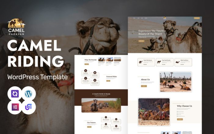 Deve Kervanı - Deve Safarisi ve Macera Turları WordPress Elementor Teması