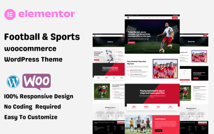 Futbol ve Spor - Modern WooCommerce Elementor WordPress Teması