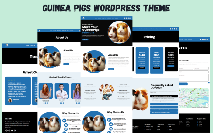 Gine Domuzları WordPress Teması