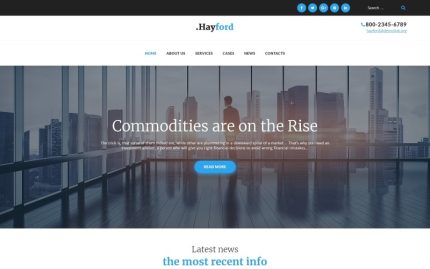 Hayford - Mobil Uyumlu Yatırım Danışmanlığı Hizmetleri WordPress Teması