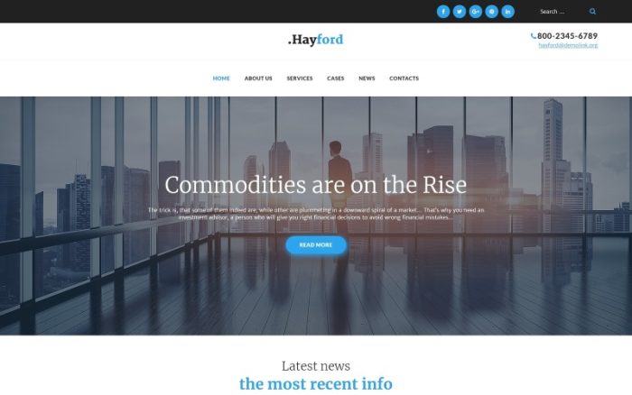 Hayford - Mobil Uyumlu Yatırım Danışmanlığı Hizmetleri WordPress Teması