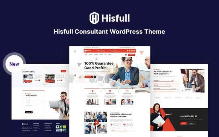 Hisfull - Mobil Uyumlu Danışman WordPress Teması