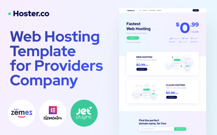 Hoster.co - WordPress Elementor Temalı Sağlayıcılar Şirketi için Web Hosting Teması