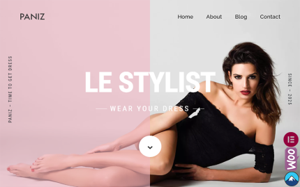Paniz - Moda ve Giyim WordPress Elementor Teması