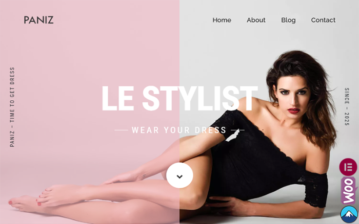 Paniz - Moda ve Giyim WordPress Elementor Teması