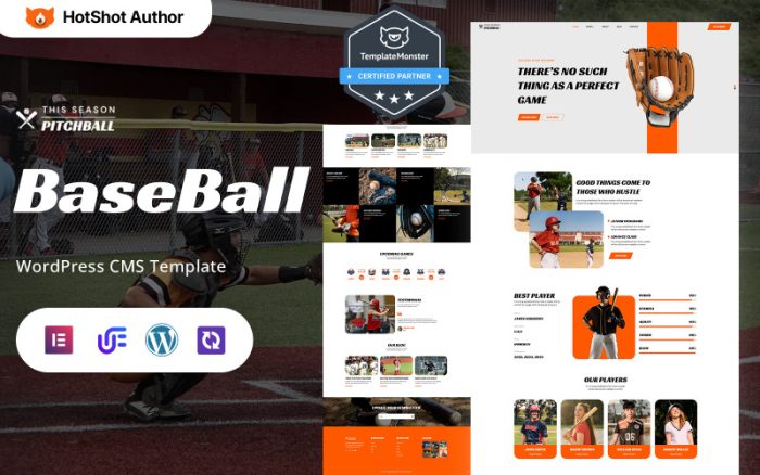 Pitchball - Beyzbol Ligi ve Turnuvası WordPress Elementor Teması