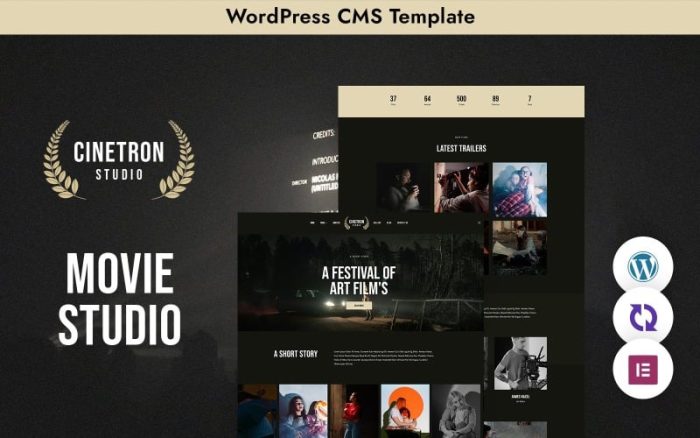 Sinema Stüdyoları için "Cinetron" WordPress Teması