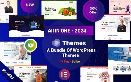 Themex - Çok Amaçlı Mobil Uyumlu WordPress Teması
