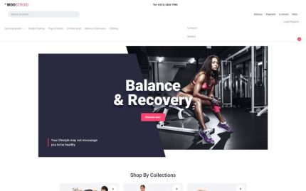 Tm Francy - Modern WooCommerce Teması