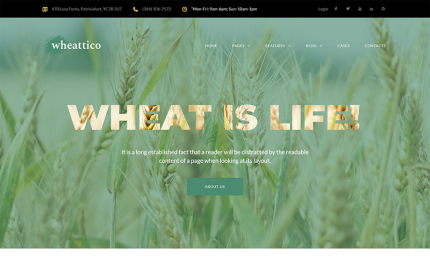 Wheattico - Mobil Uyumlu Ekin Çiftliği WordPress Teması