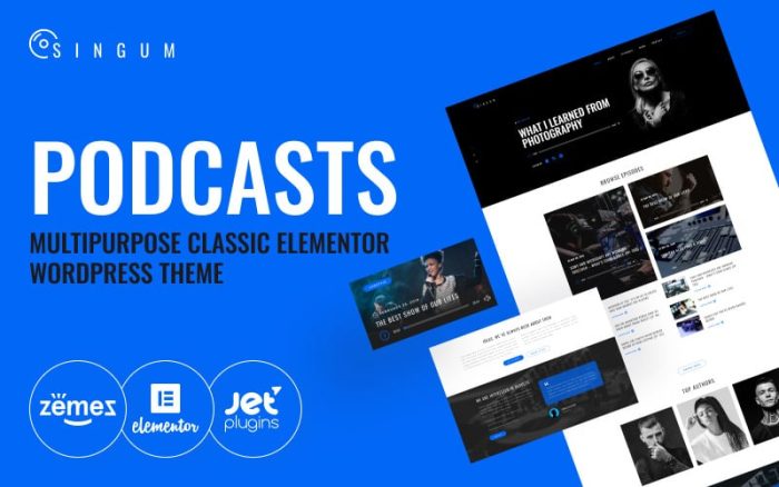 Singum - Çok Amaçlı Podcast Klasik WordPress Elementor Teması