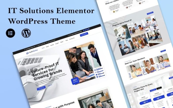 SoftSheba - BT Çözümleri Ajansı Elementor WordPress Teması